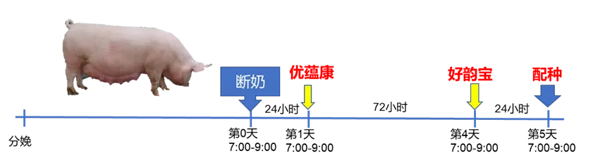 642.png