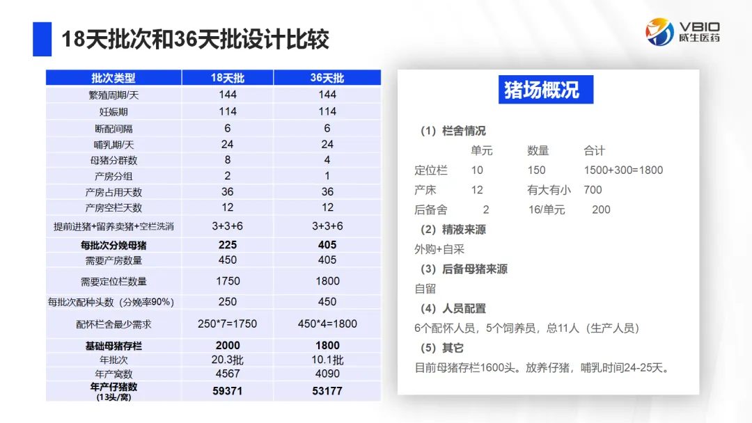 36天.png